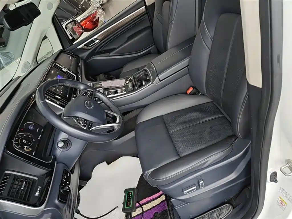 GAC Motor Trumpchi M8 2021 — фото 15