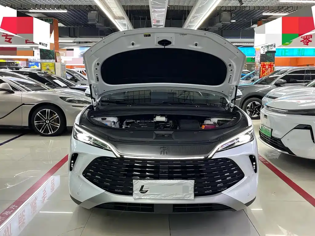 BYD Song L DM-i 2024 — фото 10