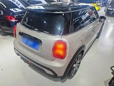 MINI MINI 2024