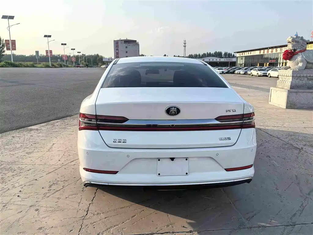 BYD Qin Pro New Energy 2020 — фото 8
