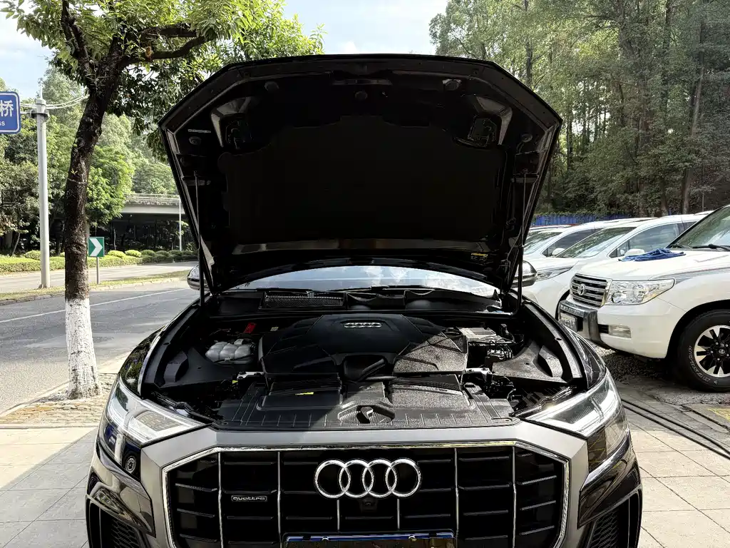 Audi Q8 2021 — фото 17