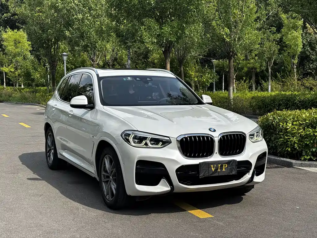 BMW X3 2019