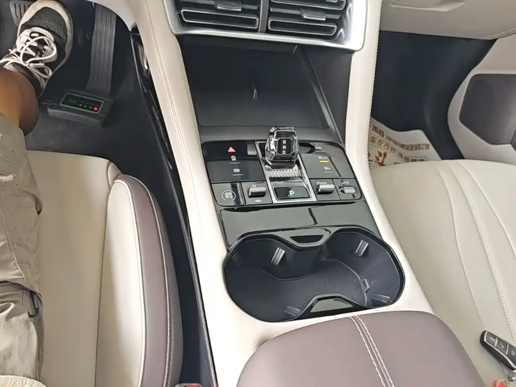 BYD Song PLUS New Energy 2025 — фото 14