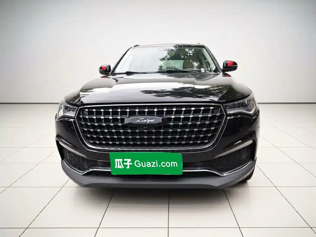 Zotye T700 2017 — фото 24