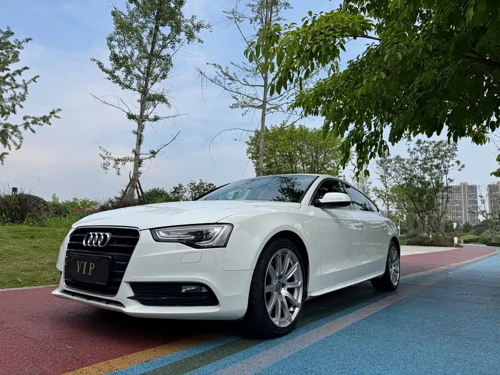 Audi A5 2014 — фото 1