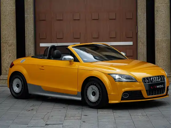 Audi TTS 2009