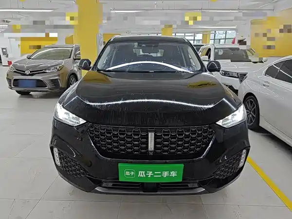 Wey VV6 2020