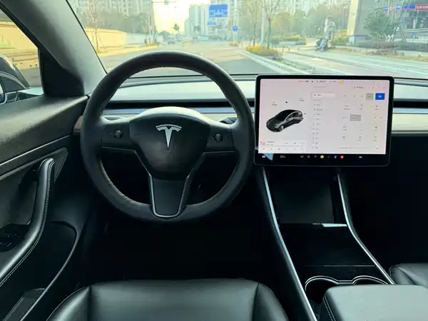 Tesla Model 3 2019
