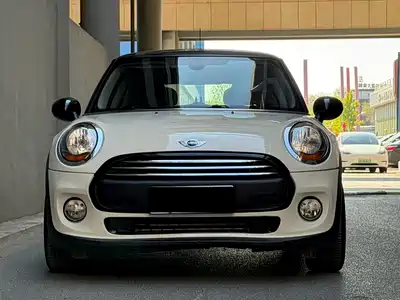 MINI MINI 2014