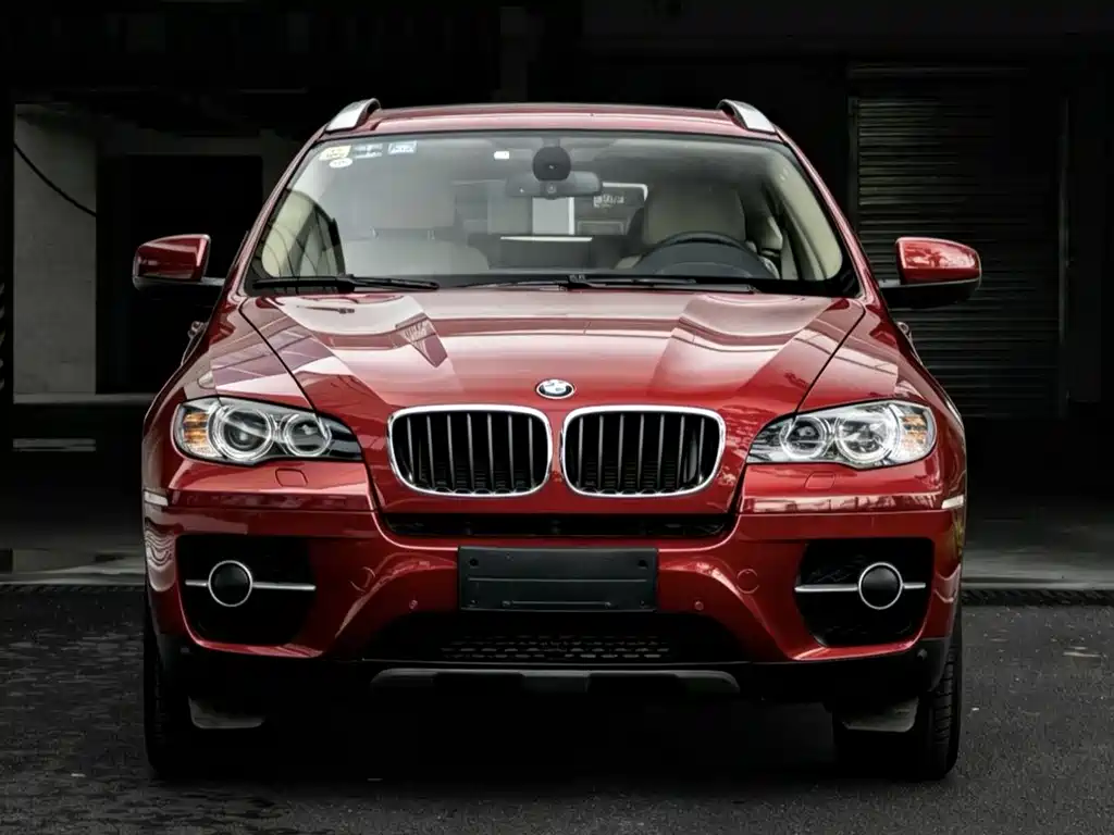 BMW X6 2010 — фото 2