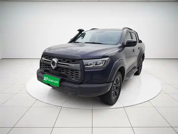 Great Wall Poer 2020