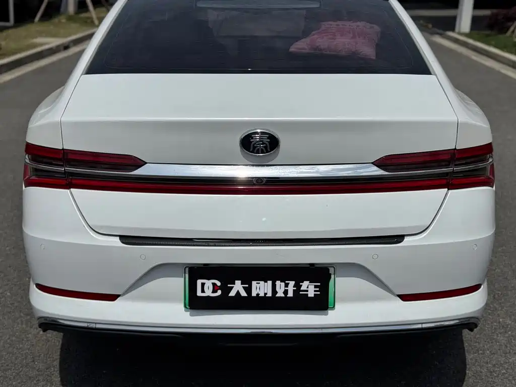 BYD Qin Pro NEV 2020 — фото 8