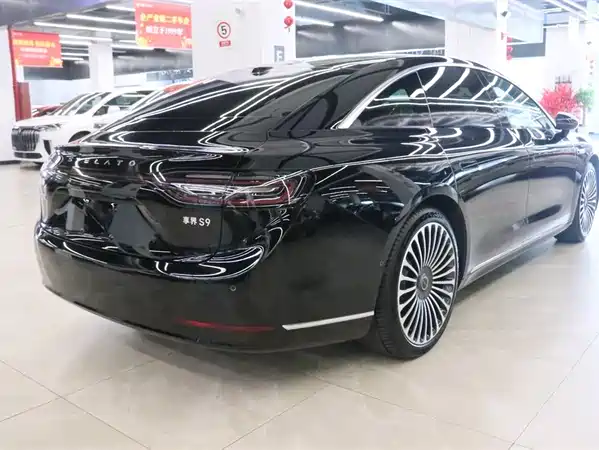 Stelato S9 2024