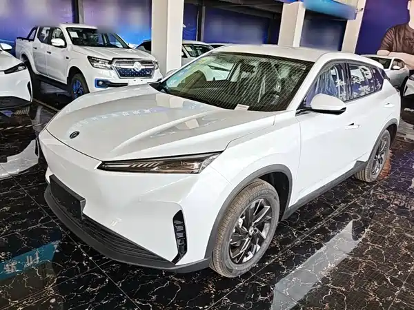 Dongfeng Aeolus SKY 2025
