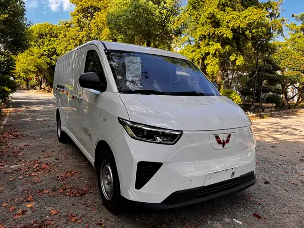 Wuling Yangguang 2025