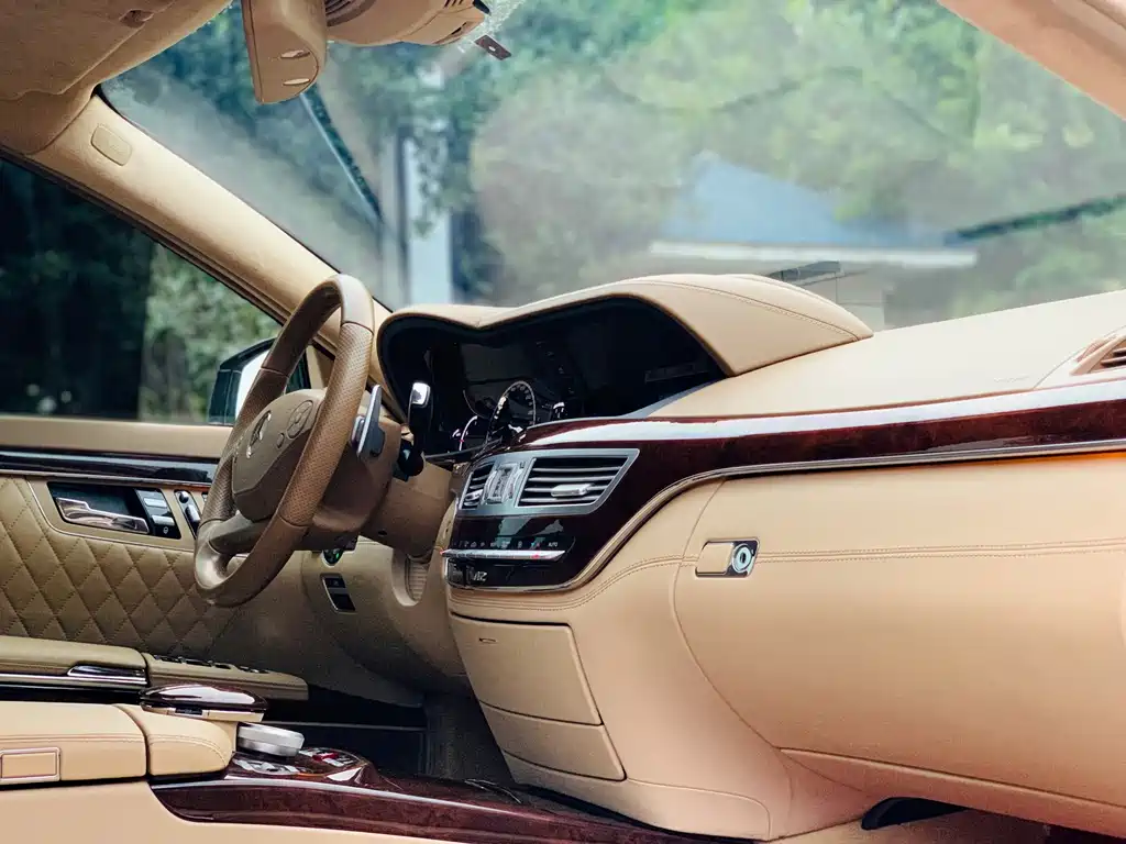 Mercedes-Benz S-Class AMG 2013 — фото 11