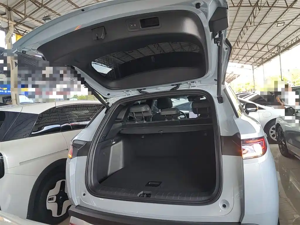 BYD L DM-i 2025 — фото 19