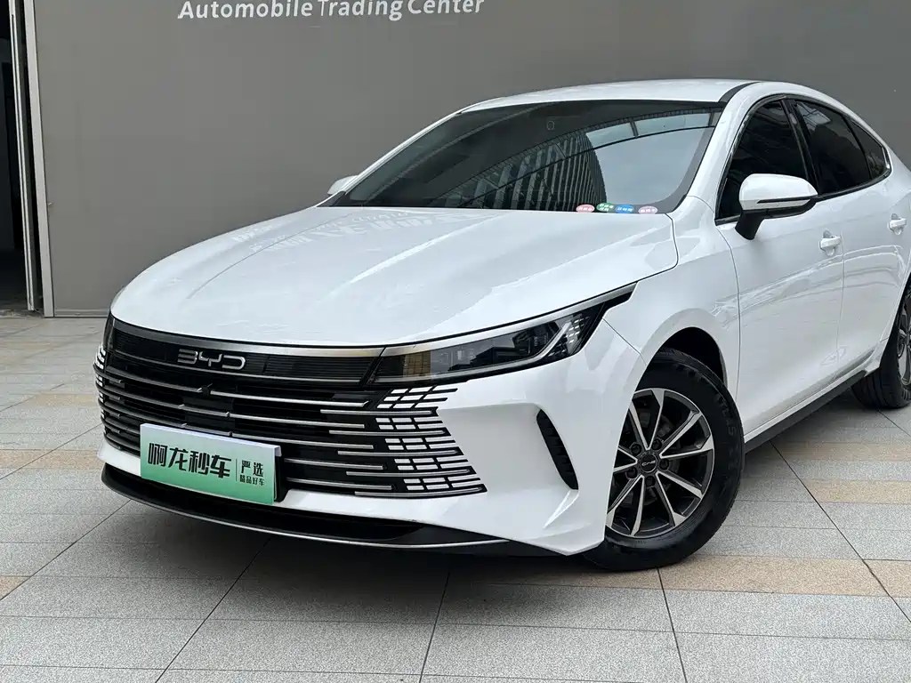 BYD Destroyer 05 2024 — фото 15