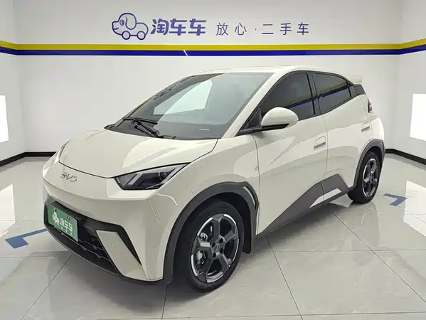 BYD Seagull 2024