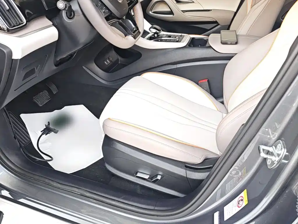 BYD Song Pro New Energy 2024 — фото 15