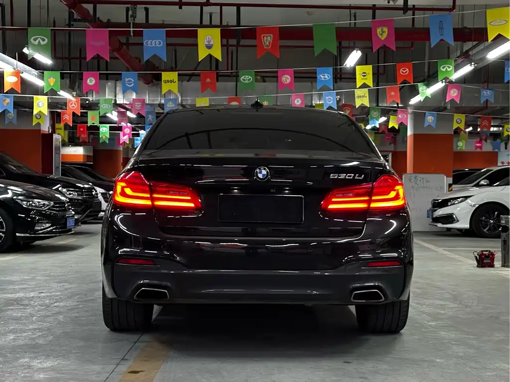 BMW 5 Series 2018 — фото 8