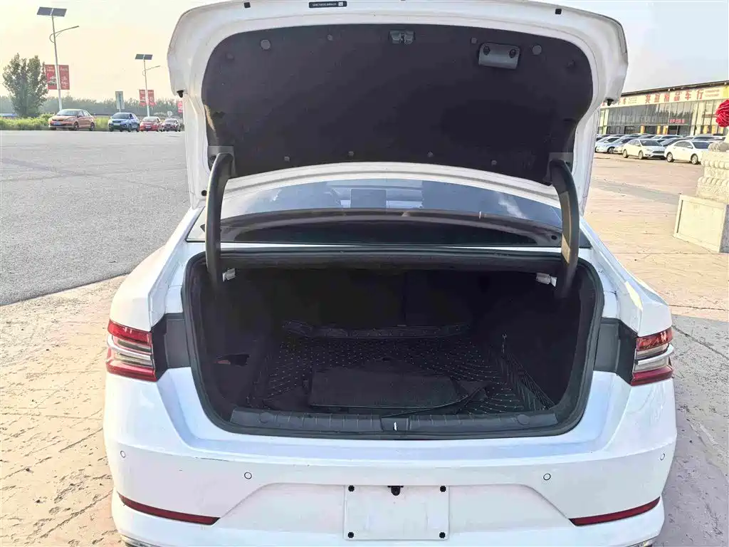 BYD Qin Pro New Energy 2020 — фото 11