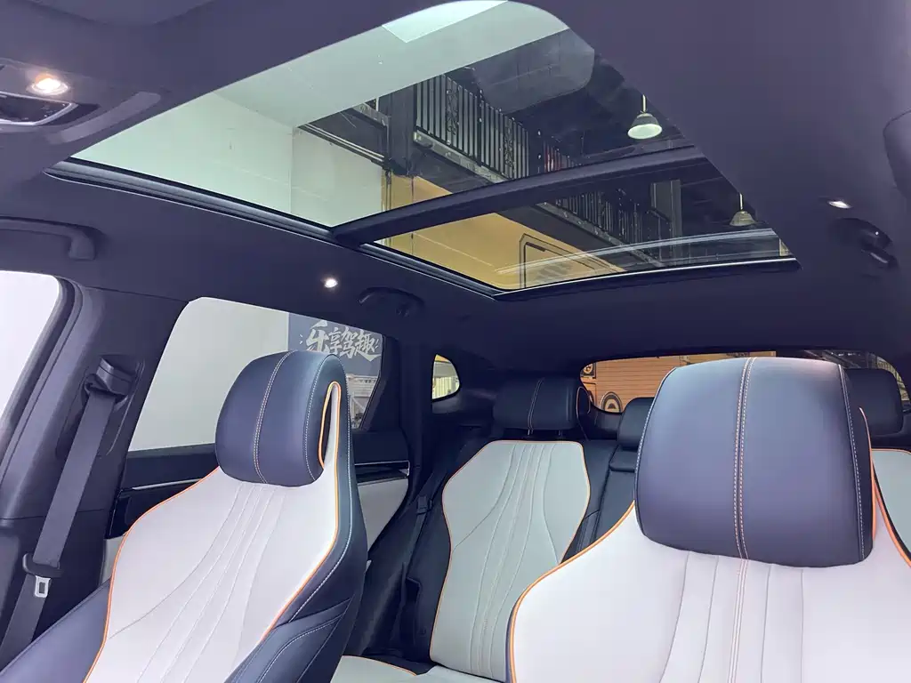 BYD PLUS New Energy 2022 — фото 14