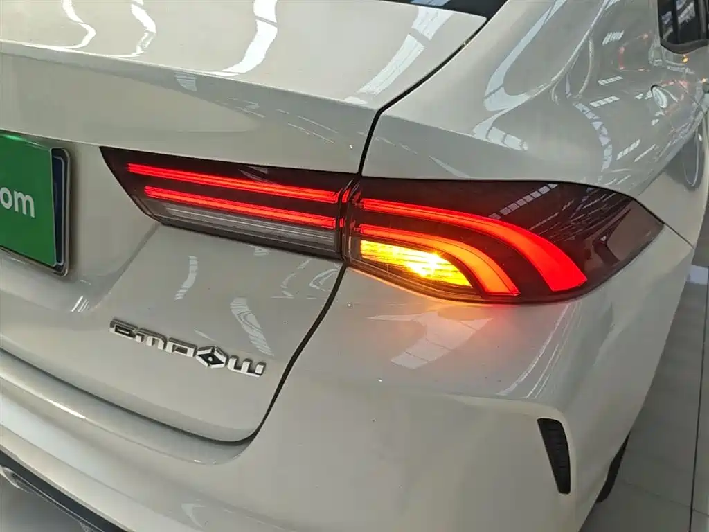 GAC Motor Shadow Leopard 2022 — фото 24