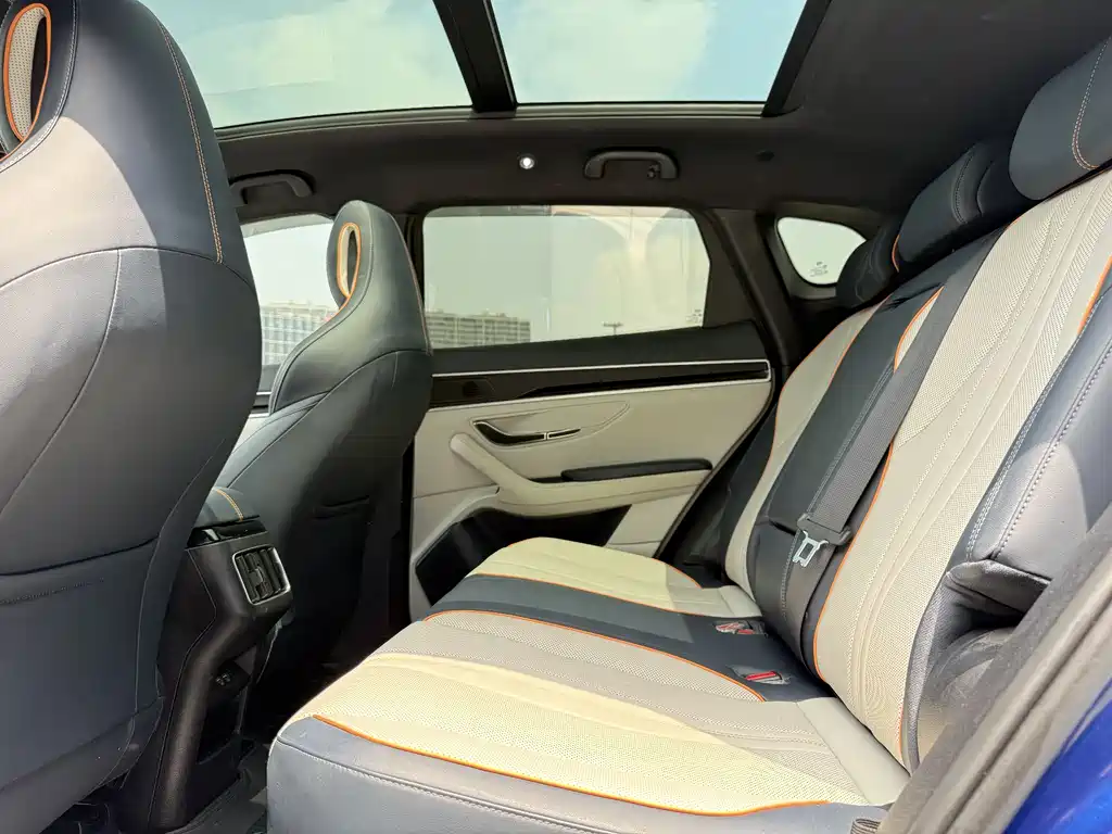 BYD PLUS New Energy 2022 — фото 10