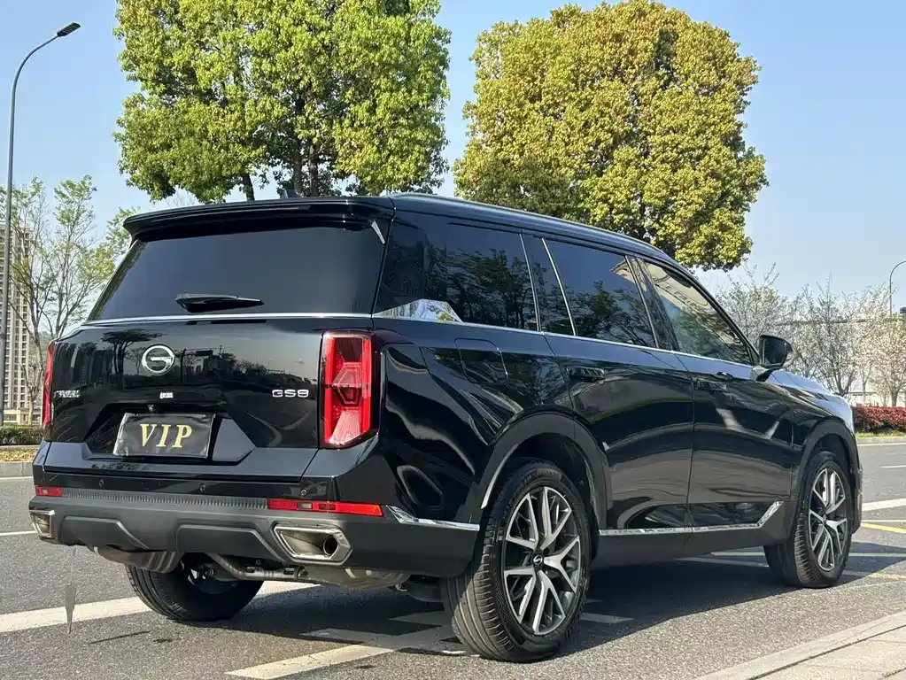 GAC Motor Trumpchi GS8 2024 — фото 18