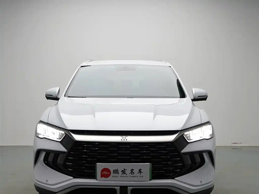 BYD Pro New Energy 2025 — фото 2