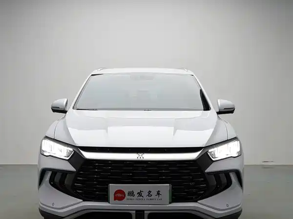 BYD Song Pro New Energy 2024