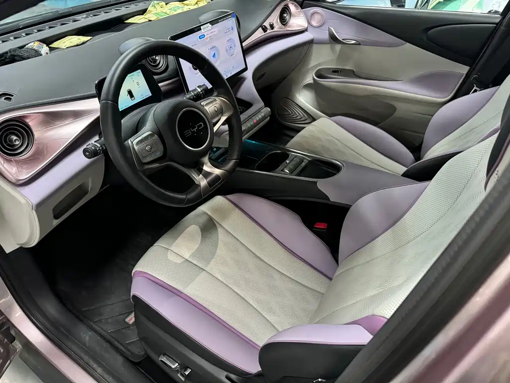 BYD Dolphin 2024