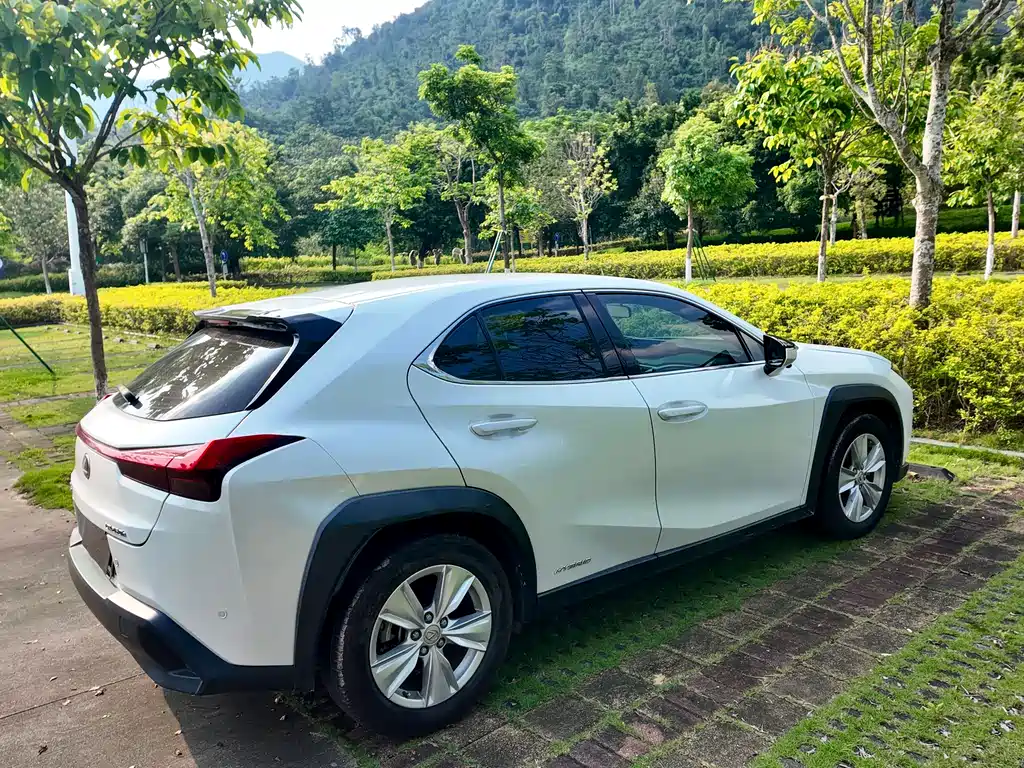 Lexus UX 2019 — фото 14