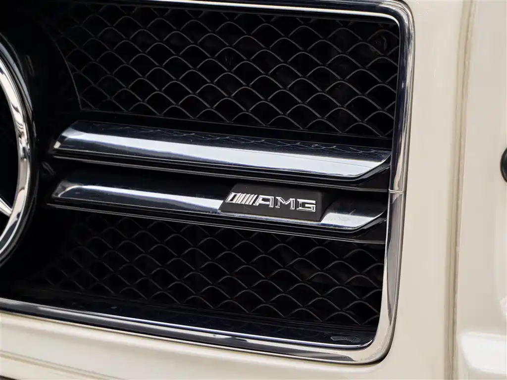 Mercedes-Benz G-Class AMG 2016 — фото 15