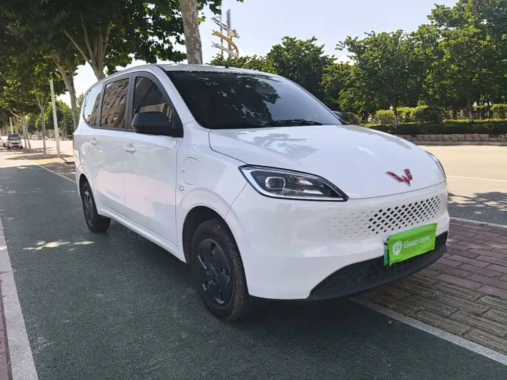 Wuling Hongguang New Energy 2025
