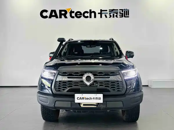 Great Wall Poer 2022
