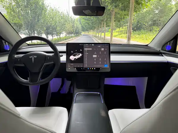 Tesla Model Y 2021