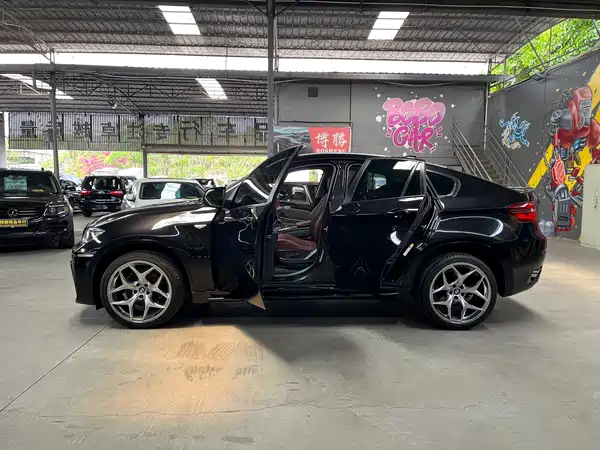 BMW X6 2009