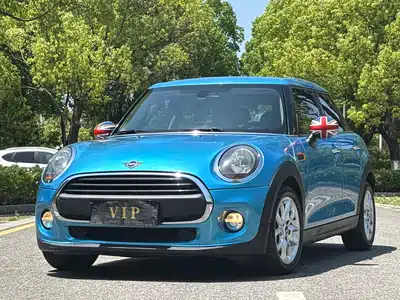 MINI MINI 2018
