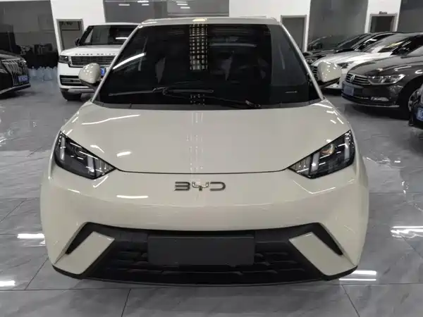 BYD Seagull 2024