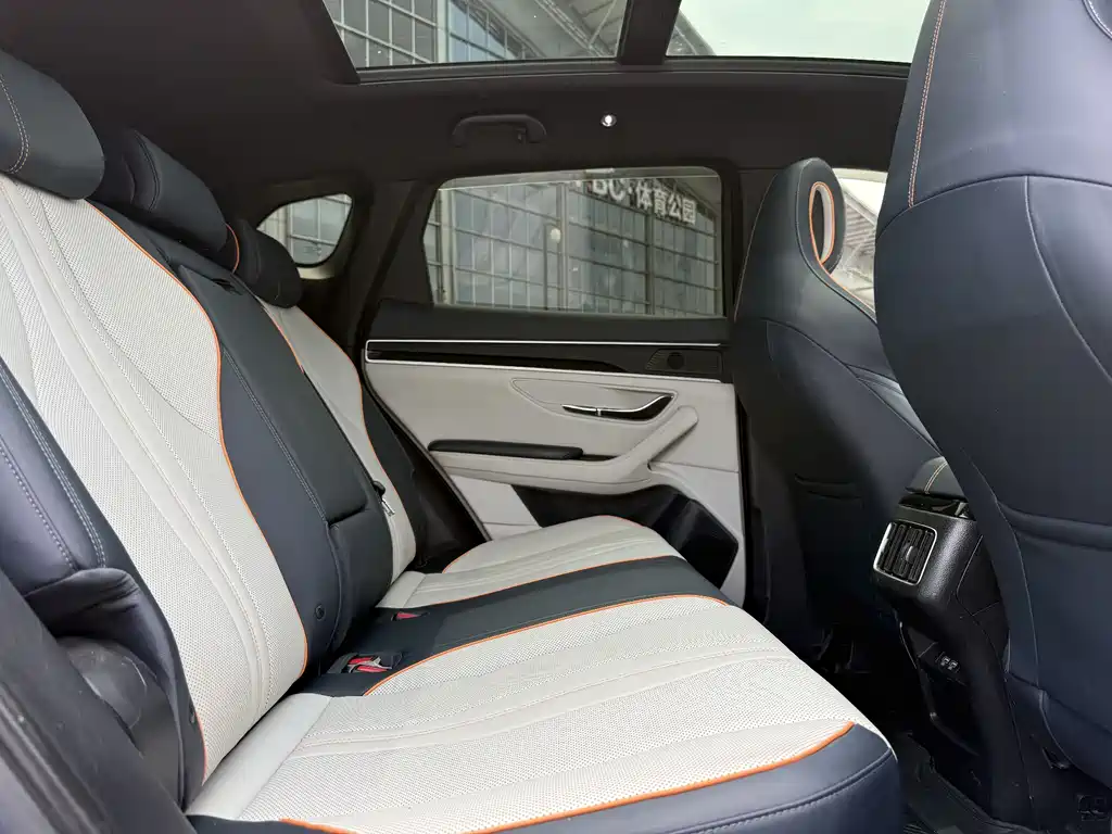 BYD PLUS New Energy 2022 — фото 17