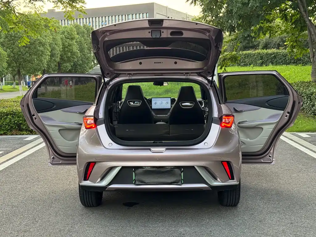 BYD Dolphin 2024