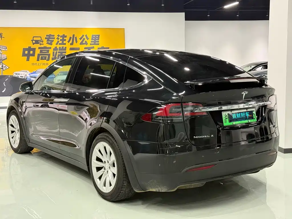 Tesla Model X 2018 — фото 8
