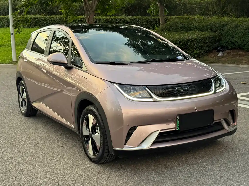 BYD Dolphin 2024