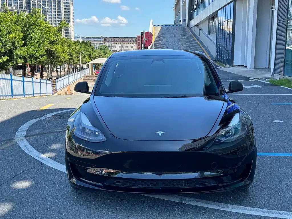 Tesla Model 3 2022 — фото 2