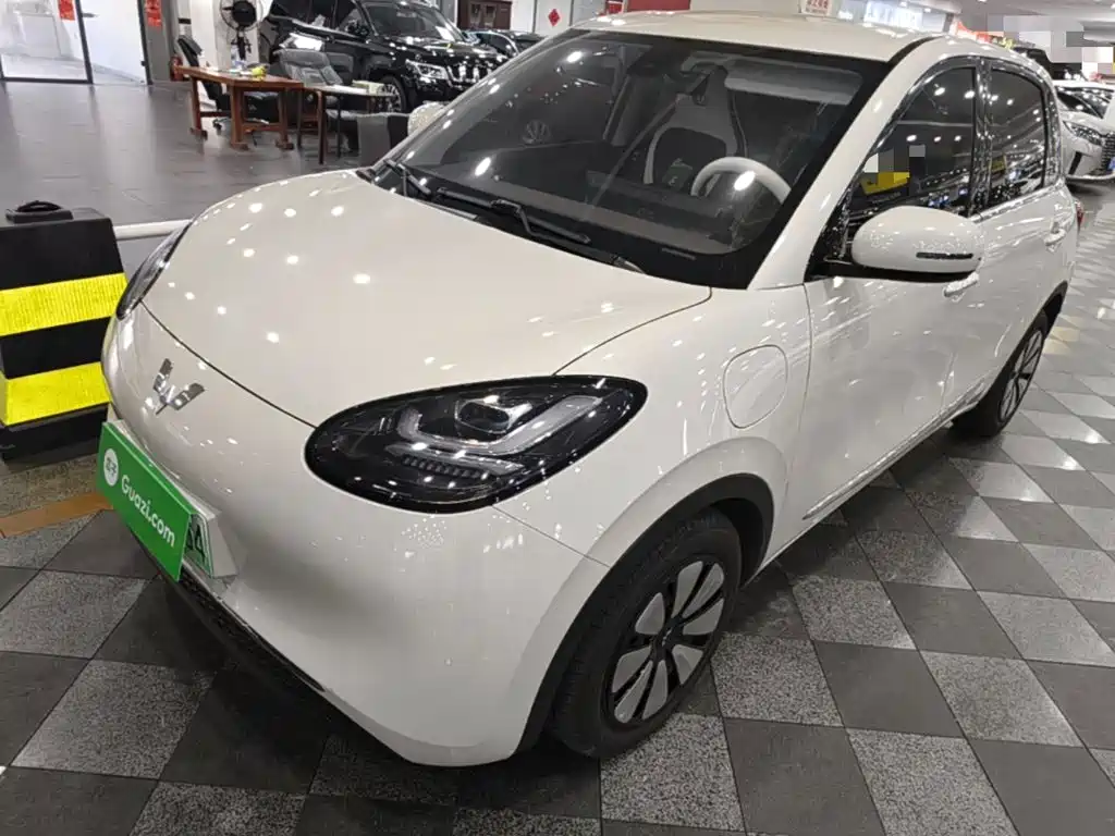 Wuling Bingo 2024