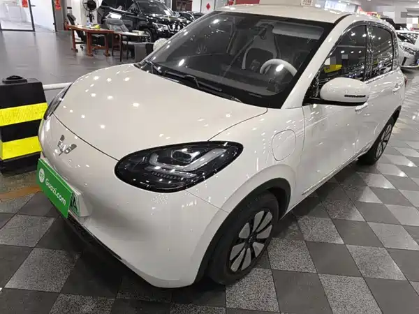 Wuling Bingo 2024