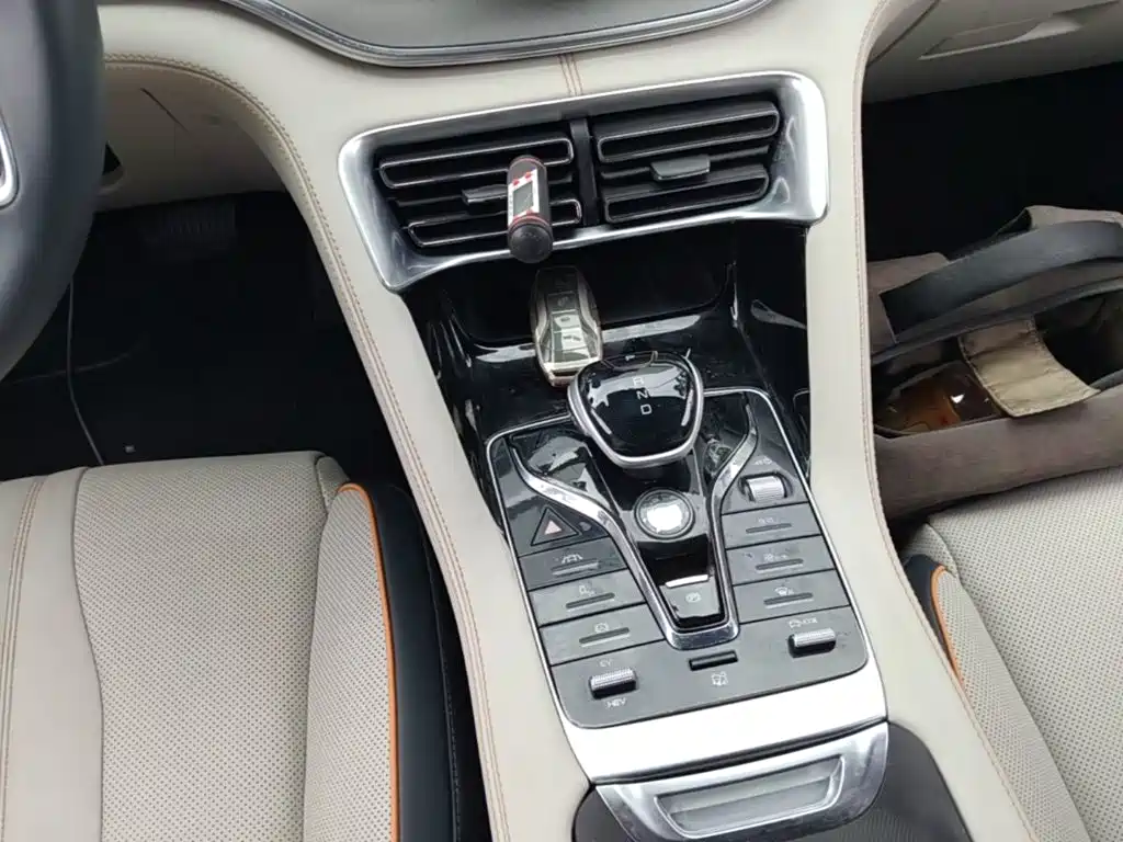 BYD Song PLUS New Energy 2022 — фото 14