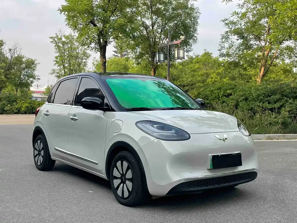 Wuling Bingo 2024